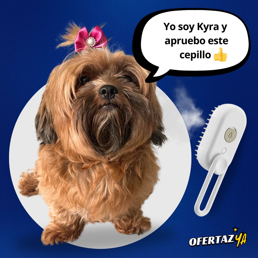 🐾  Cepillo a vapor quitapelos para mascotas